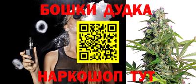 гидра Краснокаменск