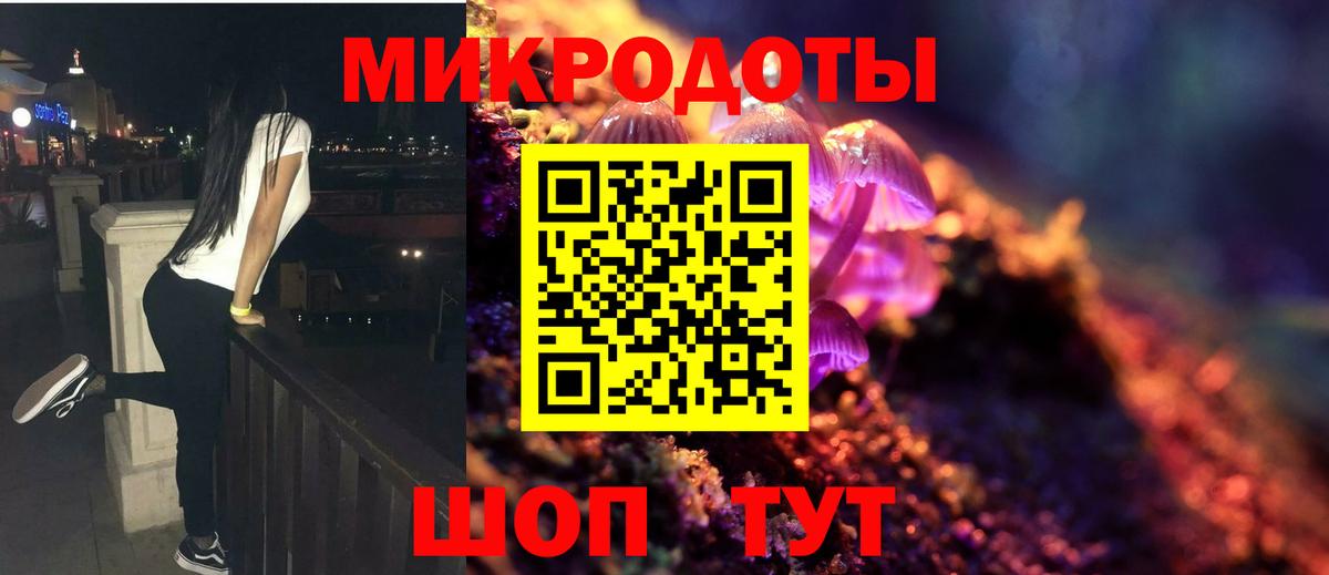 Галлюциногенные грибы Psilocybe  Вход с VPN  Кинель 